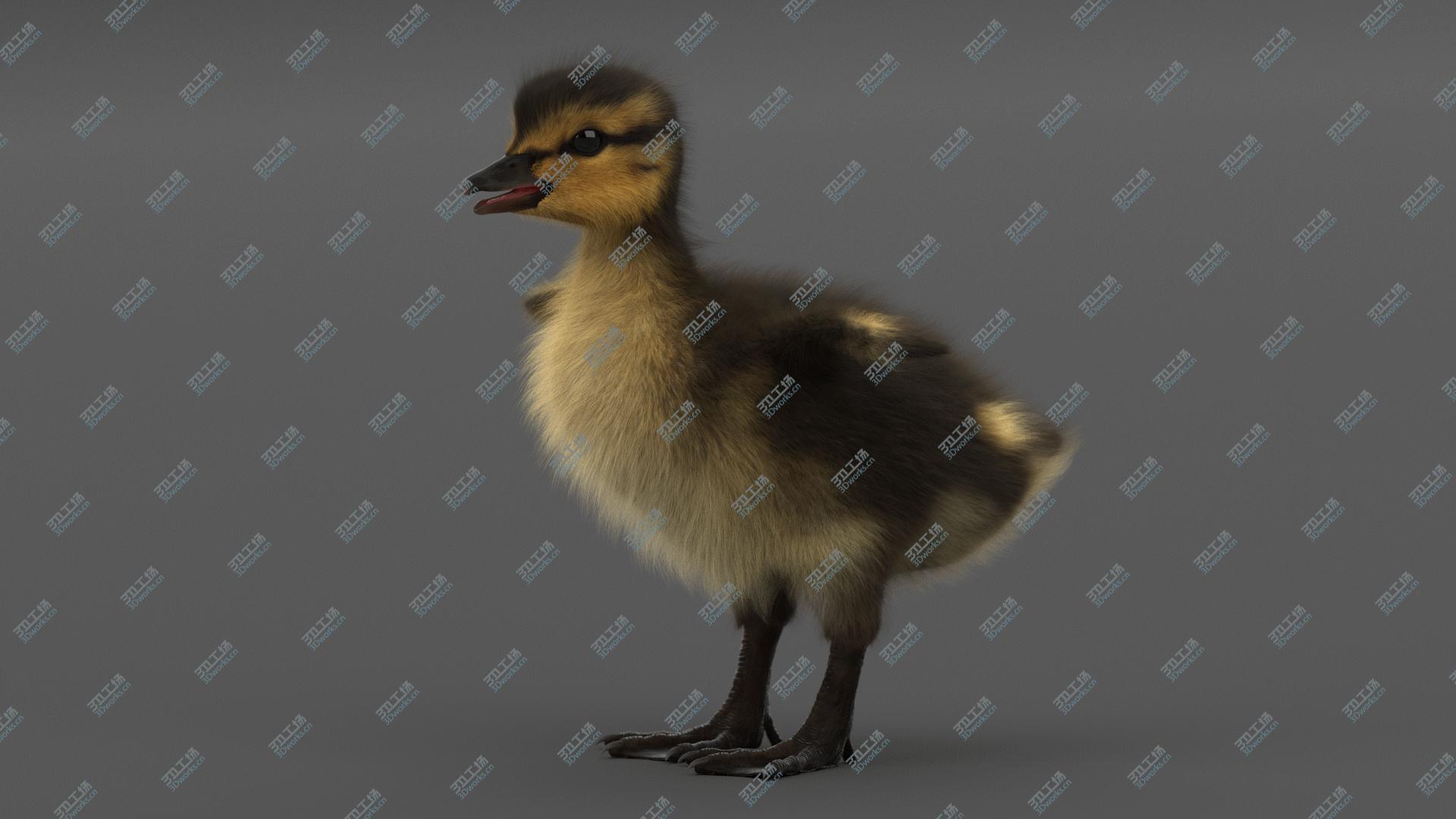 images/goods_img/20210313/Duckling 3D model/3.jpg